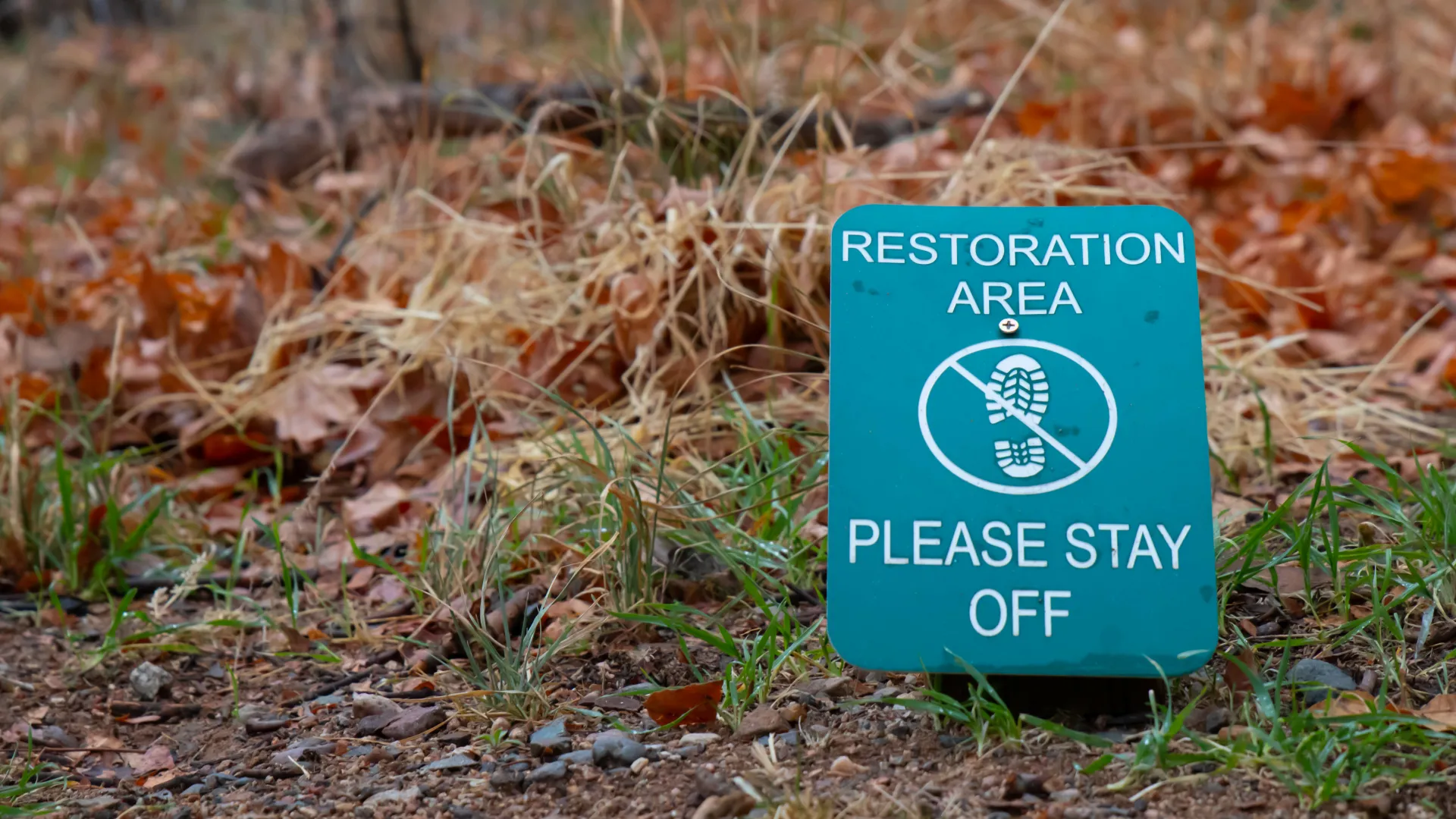 Restoration Area